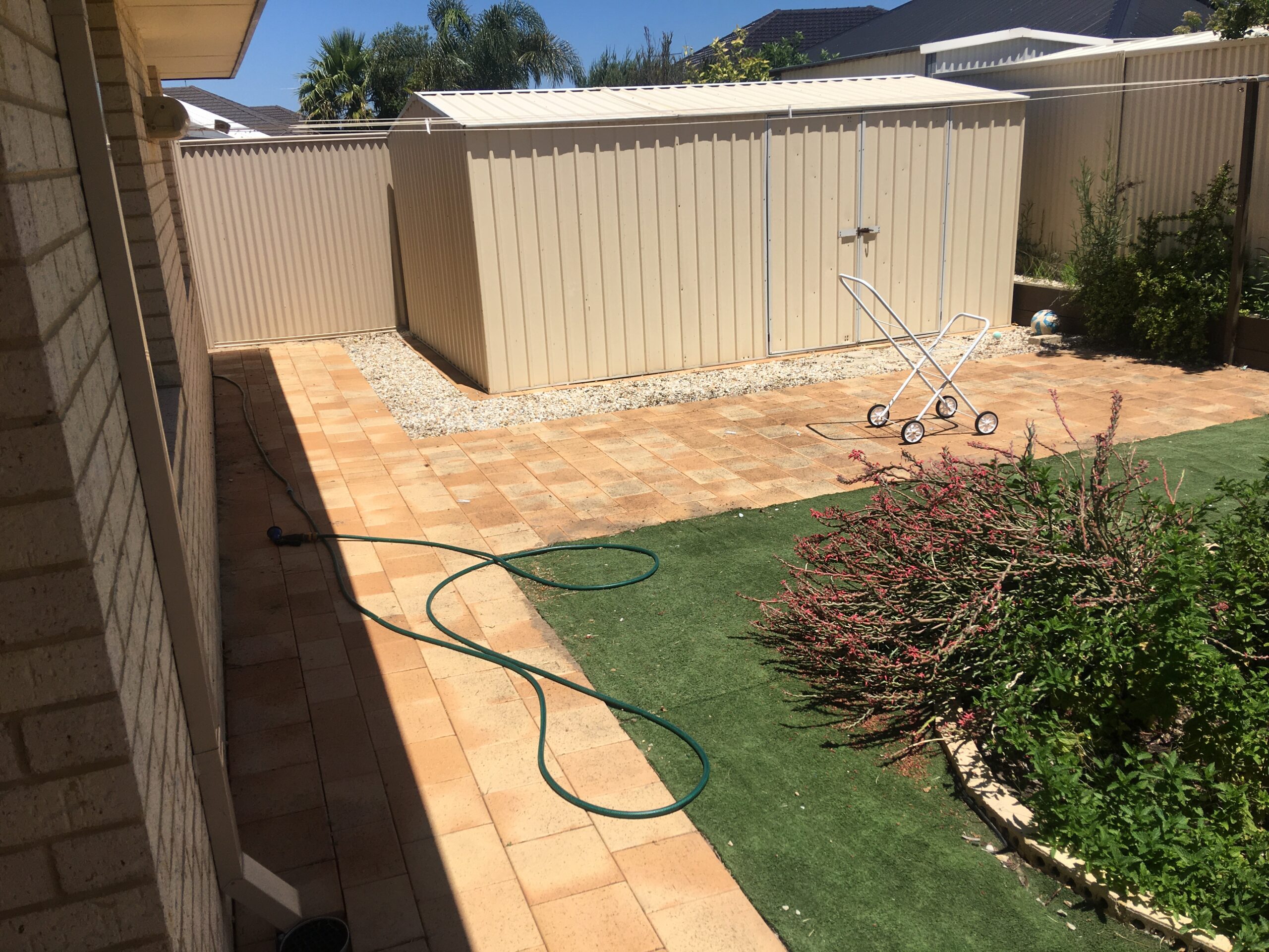 A weed-free backyard