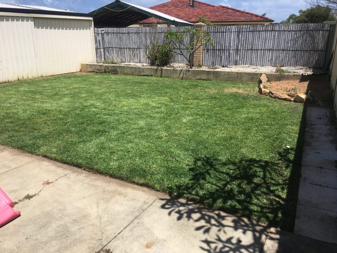 A nicely mowed lawn