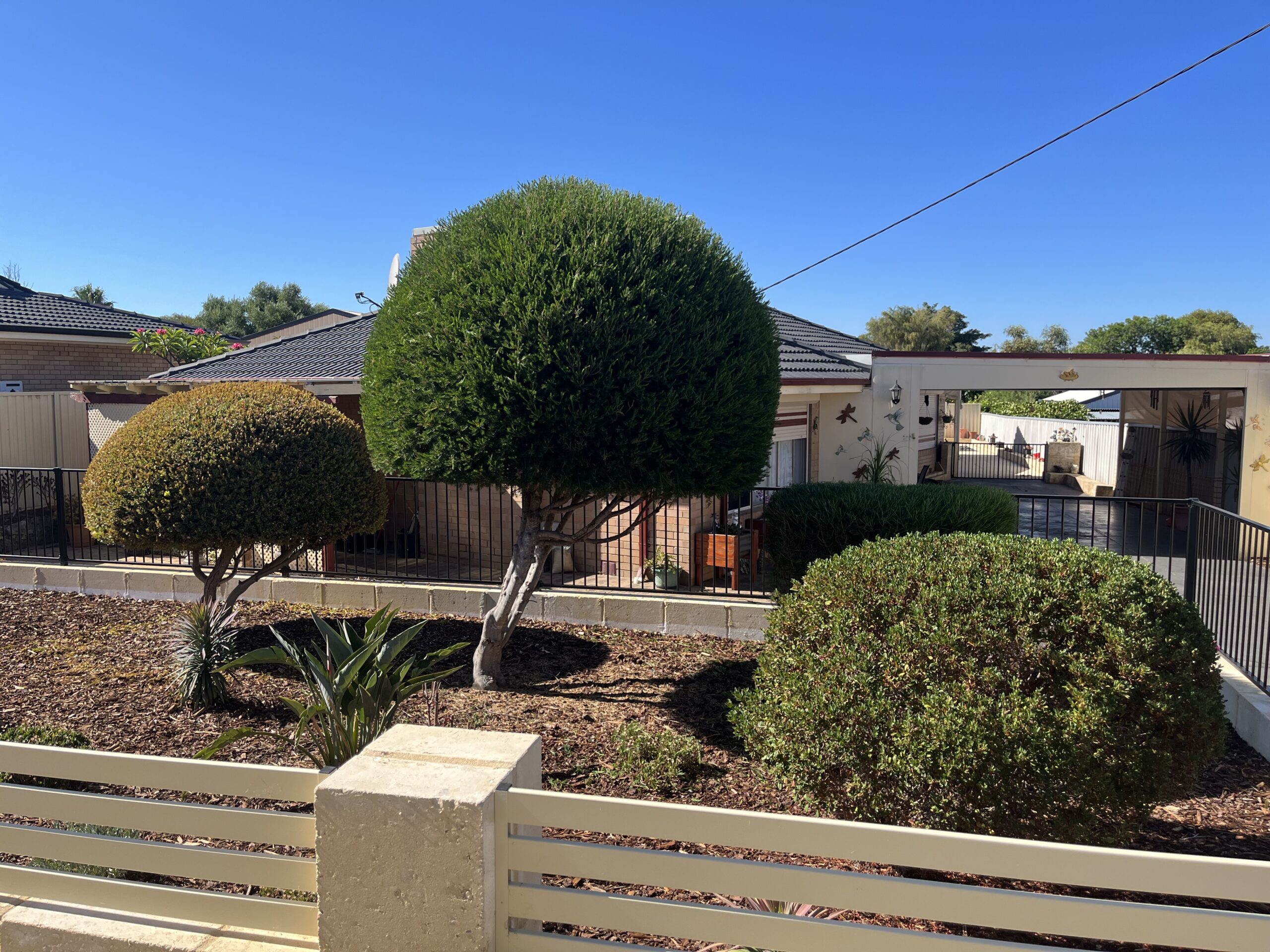 Some nice looking hedges