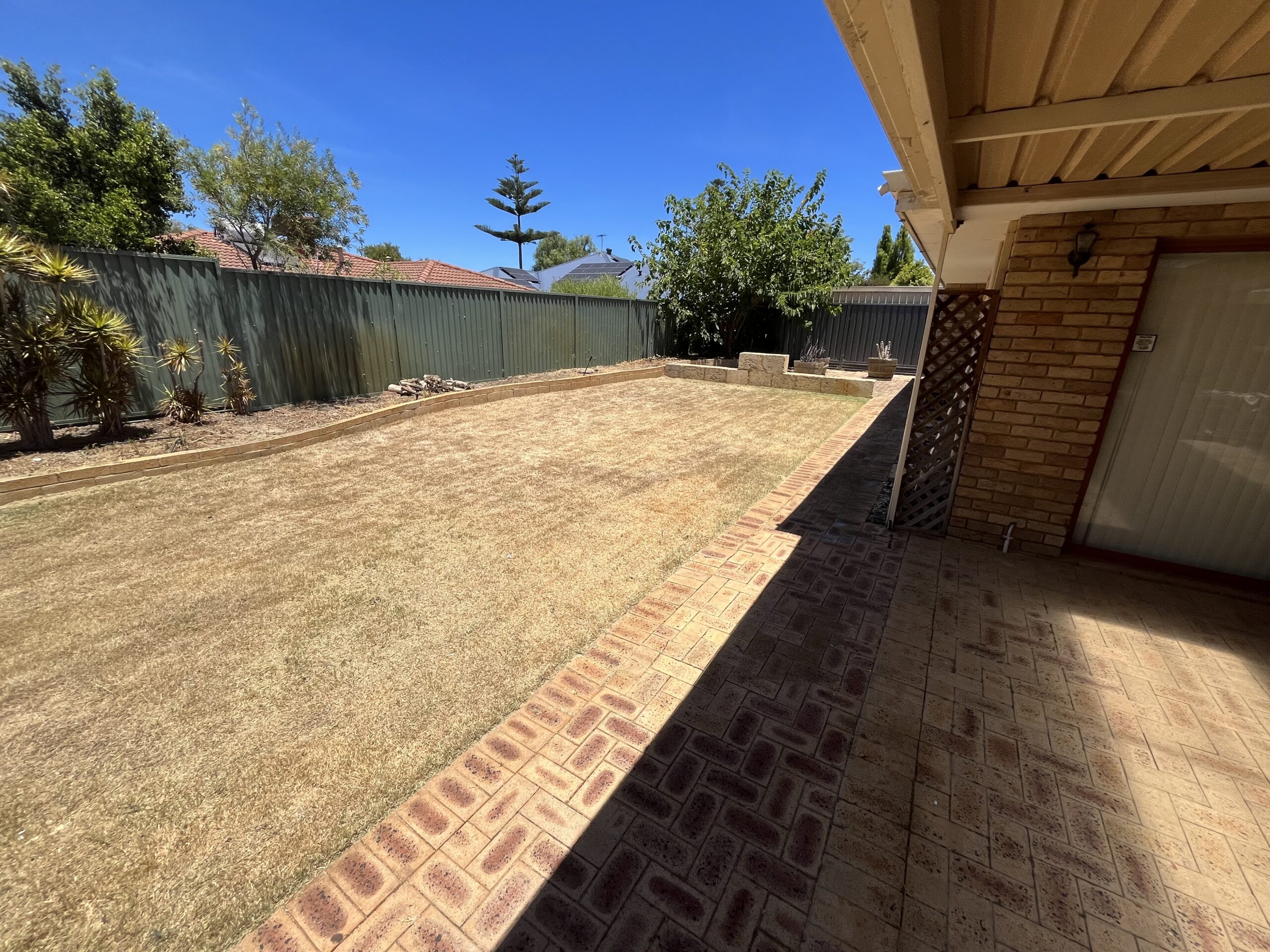 A complete yard cleanup