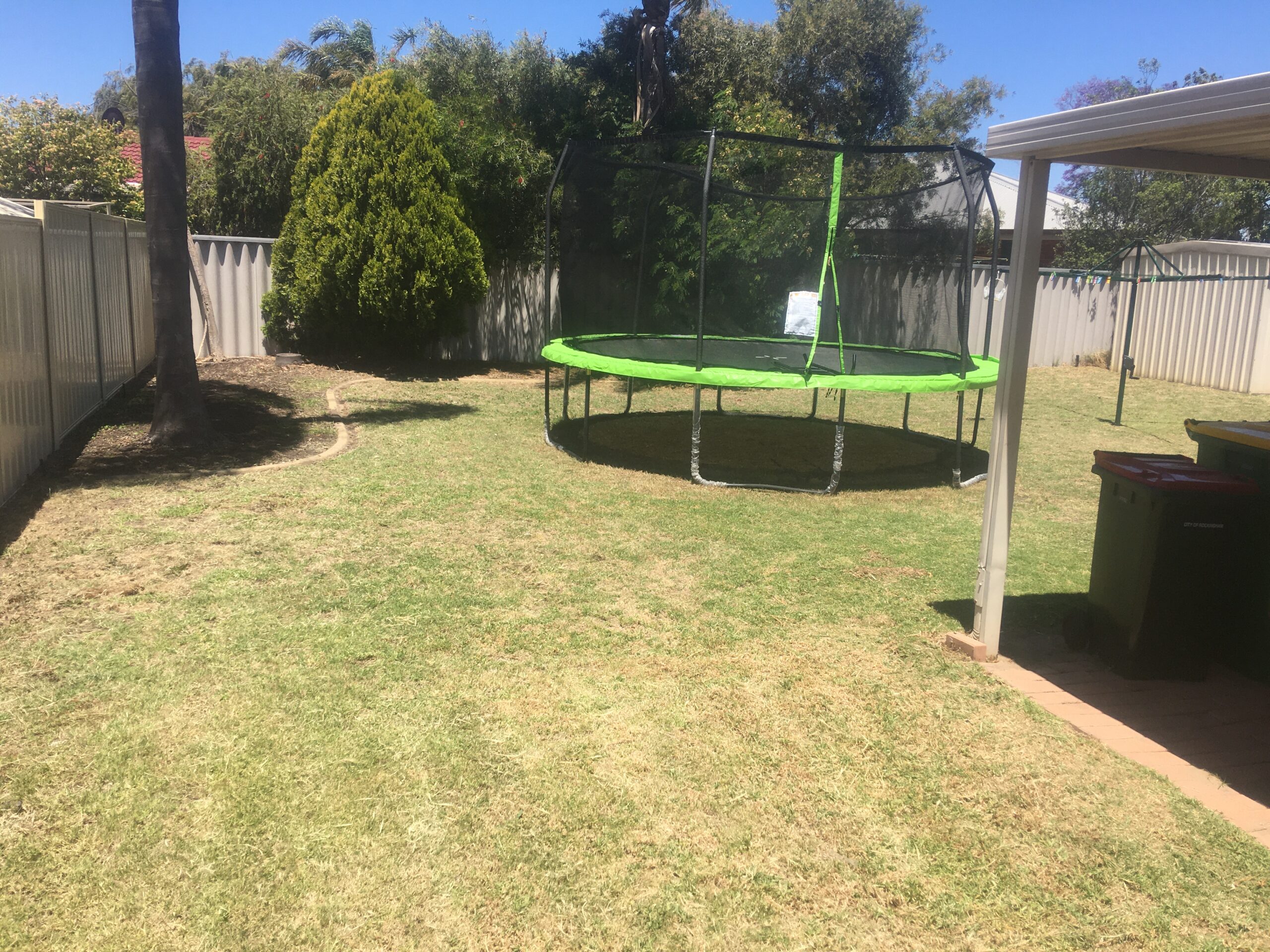 A backyard after