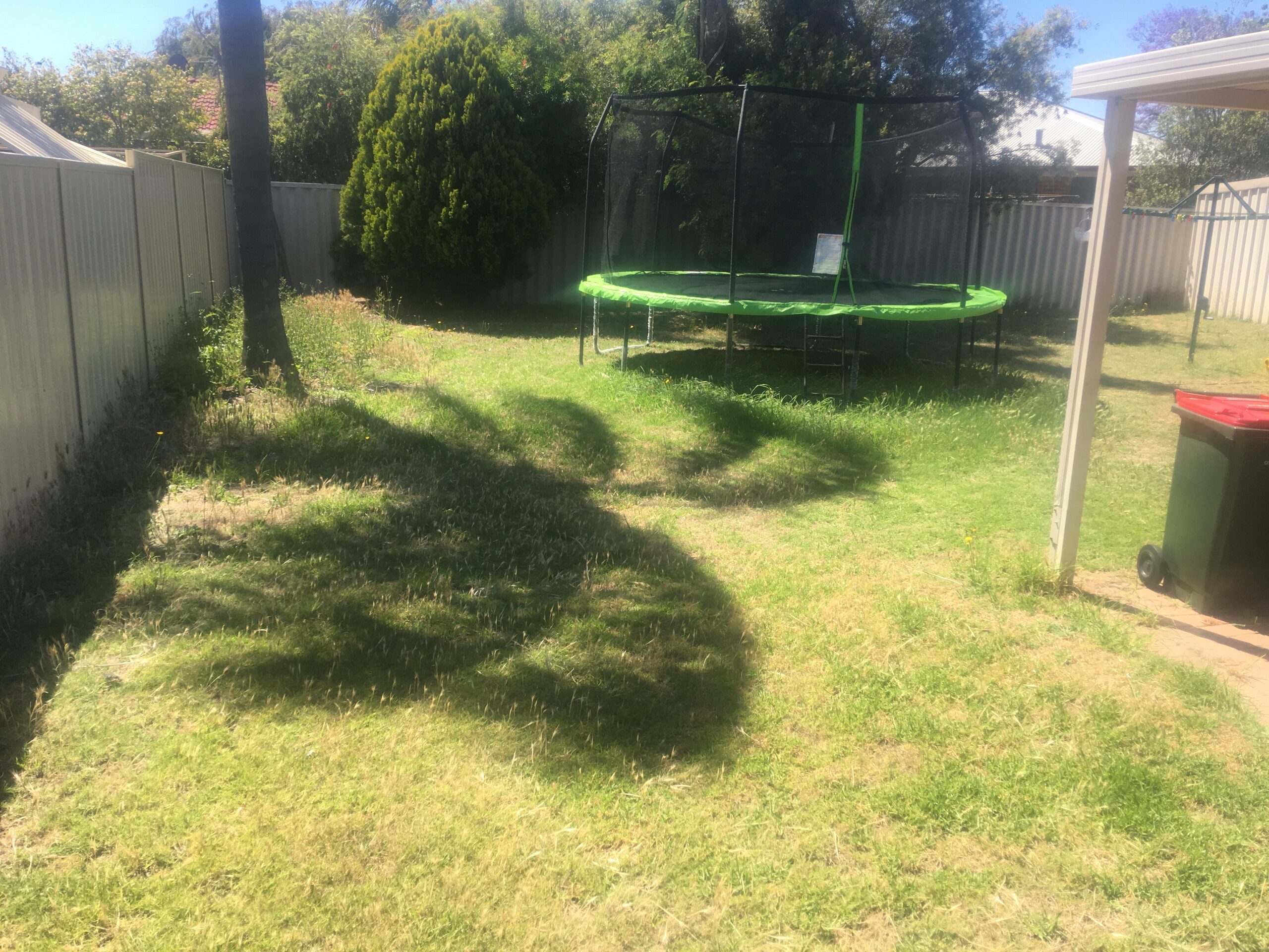 A backyard before