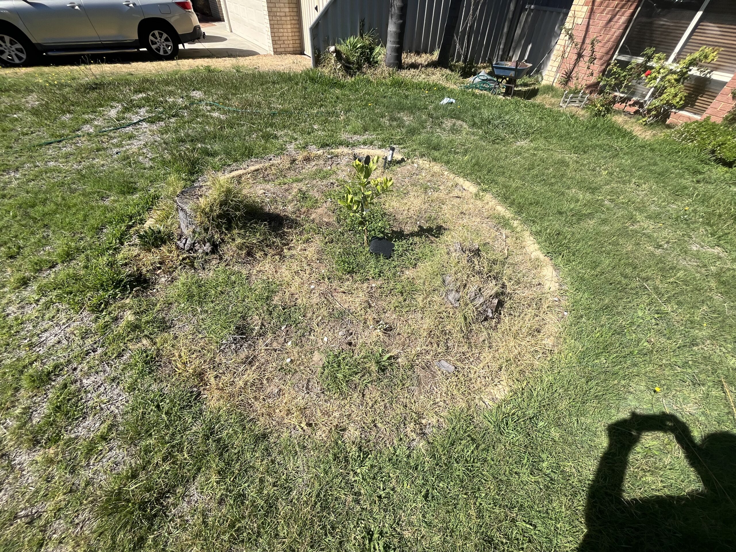 A garden bed before